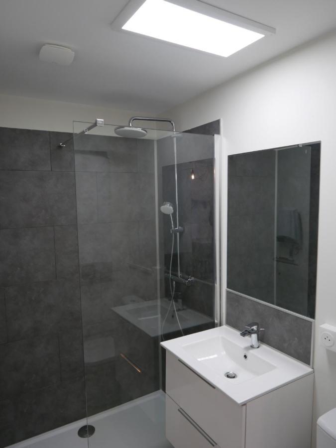 Au 3 Rue Manhes Apartment Albi Exterior photo