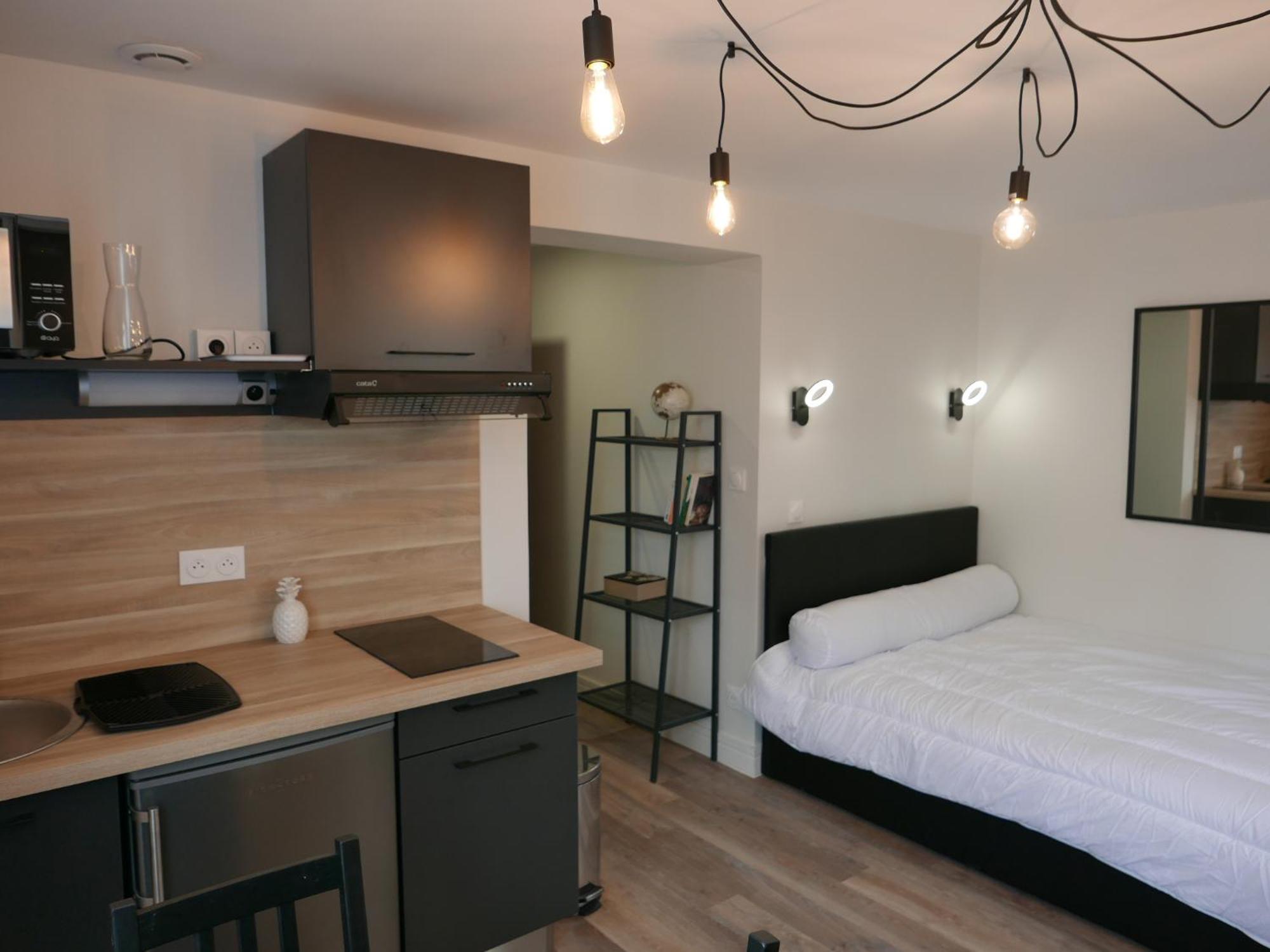 Au 3 Rue Manhes Apartment Albi Exterior photo